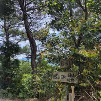 日向山
