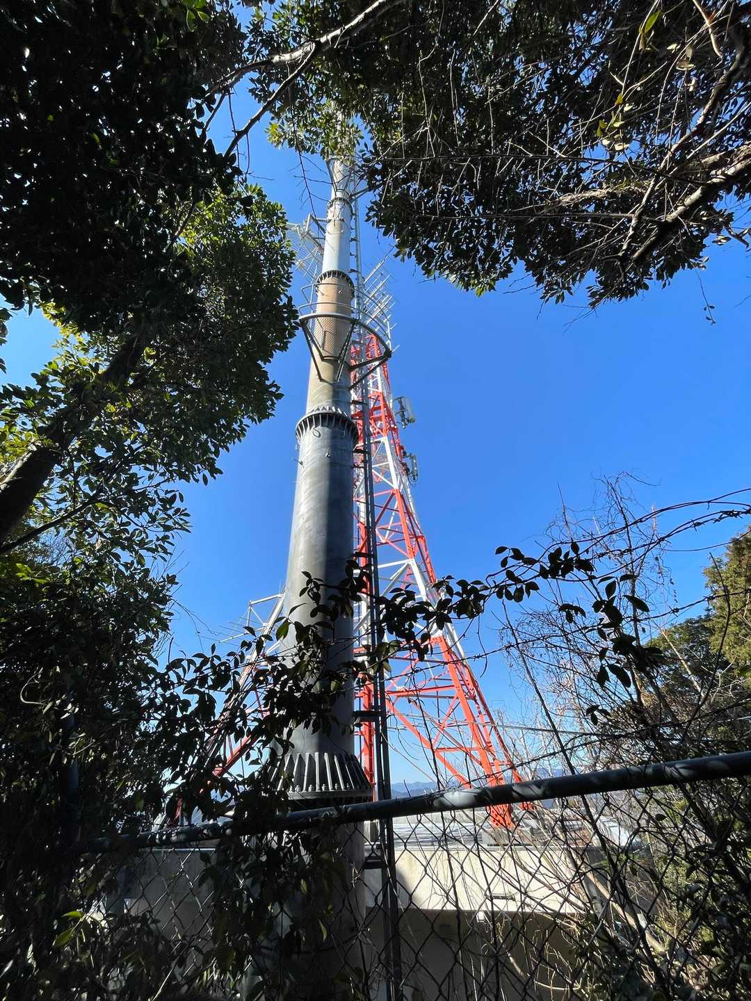 愛宕山-水神社 周回コースの写真