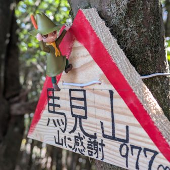 新しい山頂標識を発見！