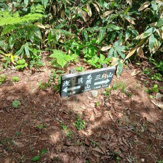 毛無山についた