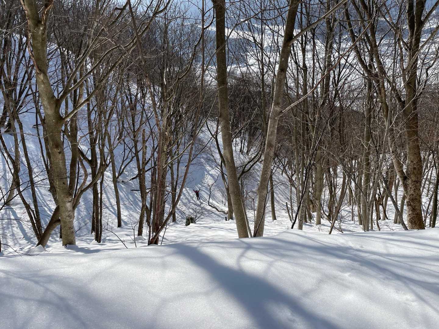 おーい