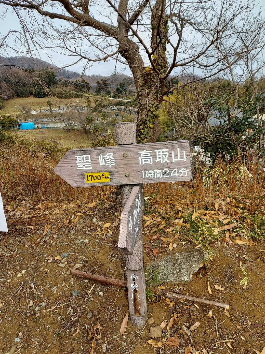 バスの運転手さんに聖峰登山口で降ろして下さいと頼んでおいてここで下車しました✨
