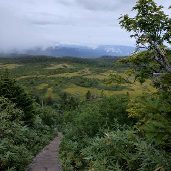 仙人岱を階段上から望む。このタイミングで写真を撮っていた先客がいて、入れ替わるタイミングを計っていたら、なんと、その人は大学時代の友人でした！🫪10年前も岩木山でバッタリ、9年前も八甲田山中の宮様ルートでもバッタリ。その後はなかなか出会えずじまい。ちょー久しぶりに会えて感激😂たぶん向こうから声をかけてくれなかったら普通に通り過ぎるところでした。
と言うわけでこの先の下山ルートはずーっと、近況報告しながら、喋り続けることとなりました。楽しい下山でした。
