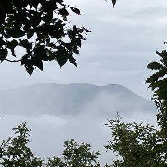 雲海☁️の富士写ヶ岳⛰️が見れてラッキー♪

この後真っ白に笑
