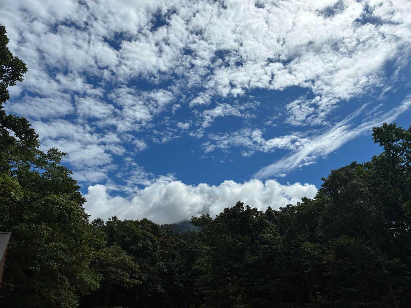 無事下山～🐶🐰👺👨‍🎨
これからの季節の羊蹄山、下界は暑く、上界は寒い季節になってきました。目に余る登山者達、そろそろふざけた装備や服装、お昼からスタート等々してたら遭難、下手すりゃサヨナラですよ👋👋👋
羊蹄山ナメたら死ぬぜよ😇