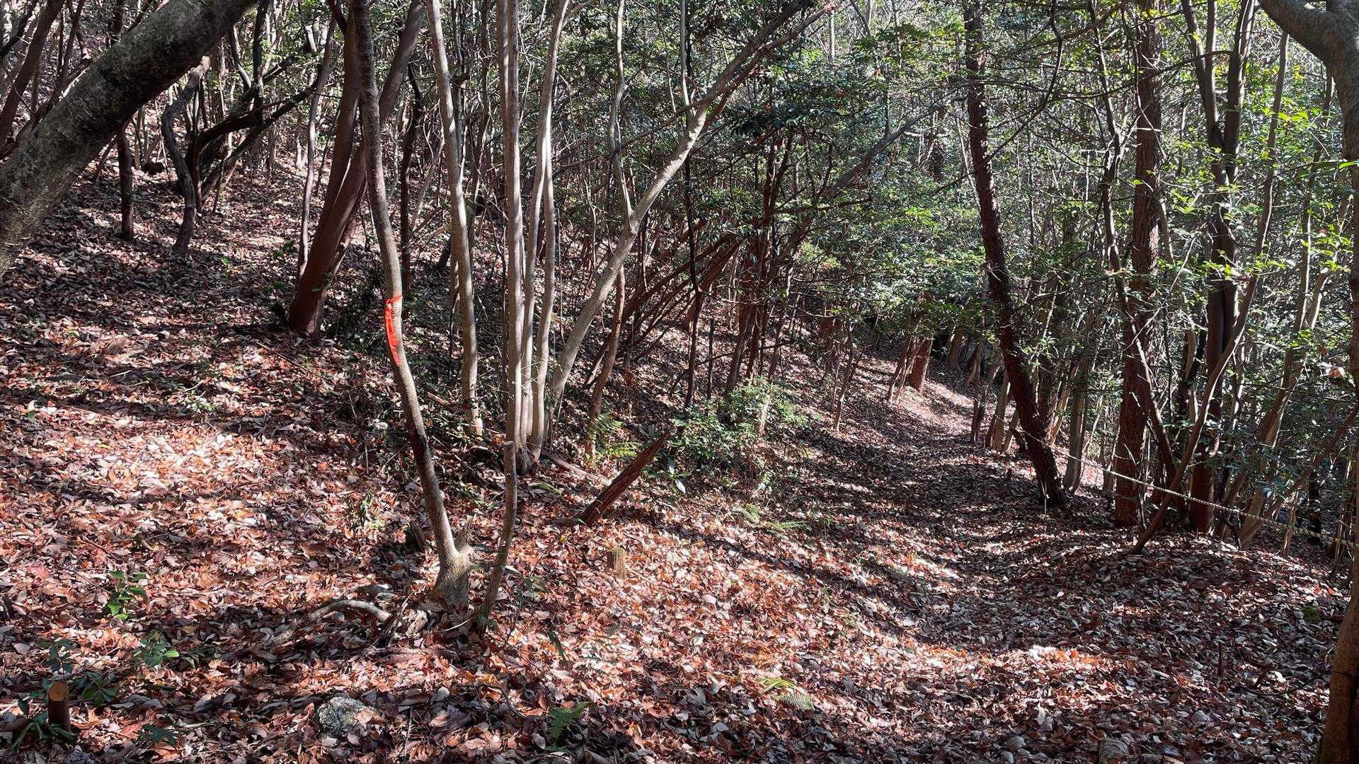 ここも、どっち？ってなったけど、紐がある方行った🚶‍♀️