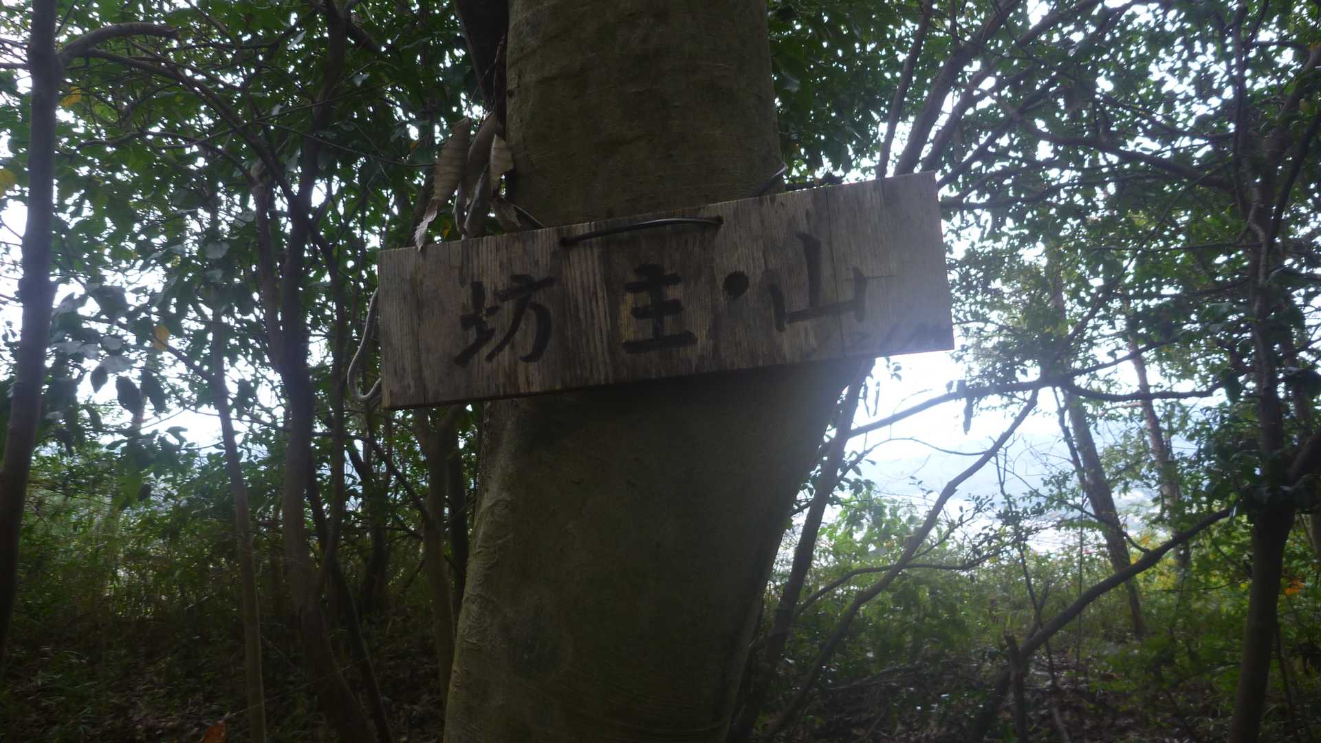 坊主山着