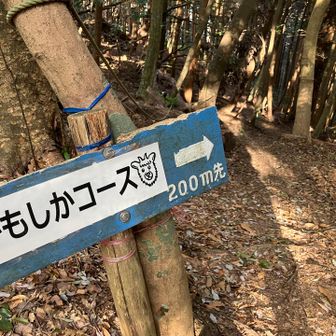 来た道を戻ります