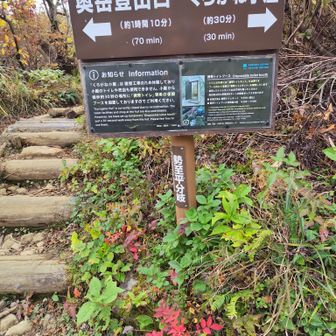 勢至平分岐