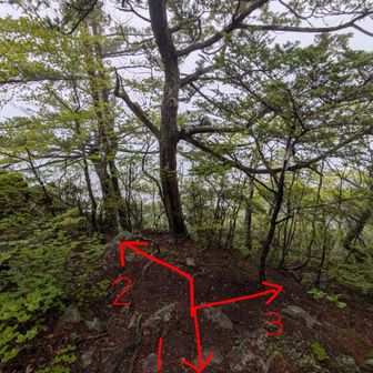 山頂直下の分岐点(1,471m)
※1→大ナゲシ、2→ロープルート、3→鎖場ルート。