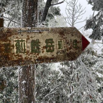 薊雌岳　眺望無し😅