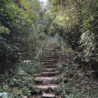山頂手前の階段
もう少し