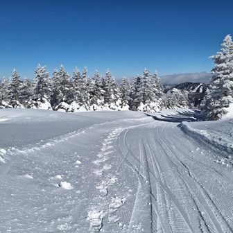 名残惜しいですが下山します

たぶん車道です(笑)
でもまだまだ素晴らしい景色が期待できそう…♪