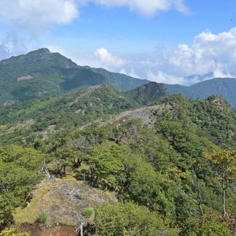 障子岳から祖母山方面。木がないとジリジリする