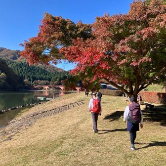 碓氷峠アプトの道 紅葉🍁満喫廃線ウォーク