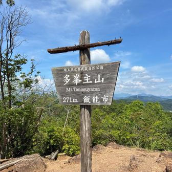 多峯主山