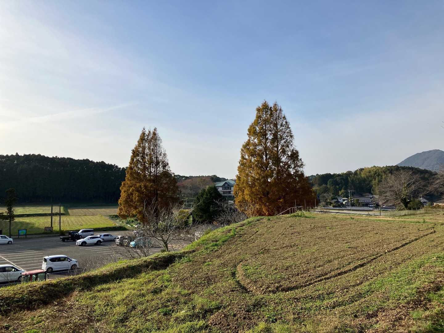 登山口付近