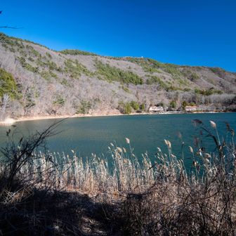 四尾連湖の湖畔に到着、正面に見える尾根が本日の登山コースです。大畠山のアンテナが見えます。