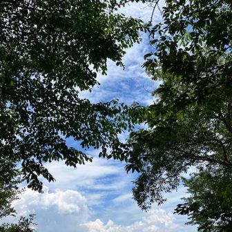 雲の流れをただ眺める☁️
贅沢な時間🥹