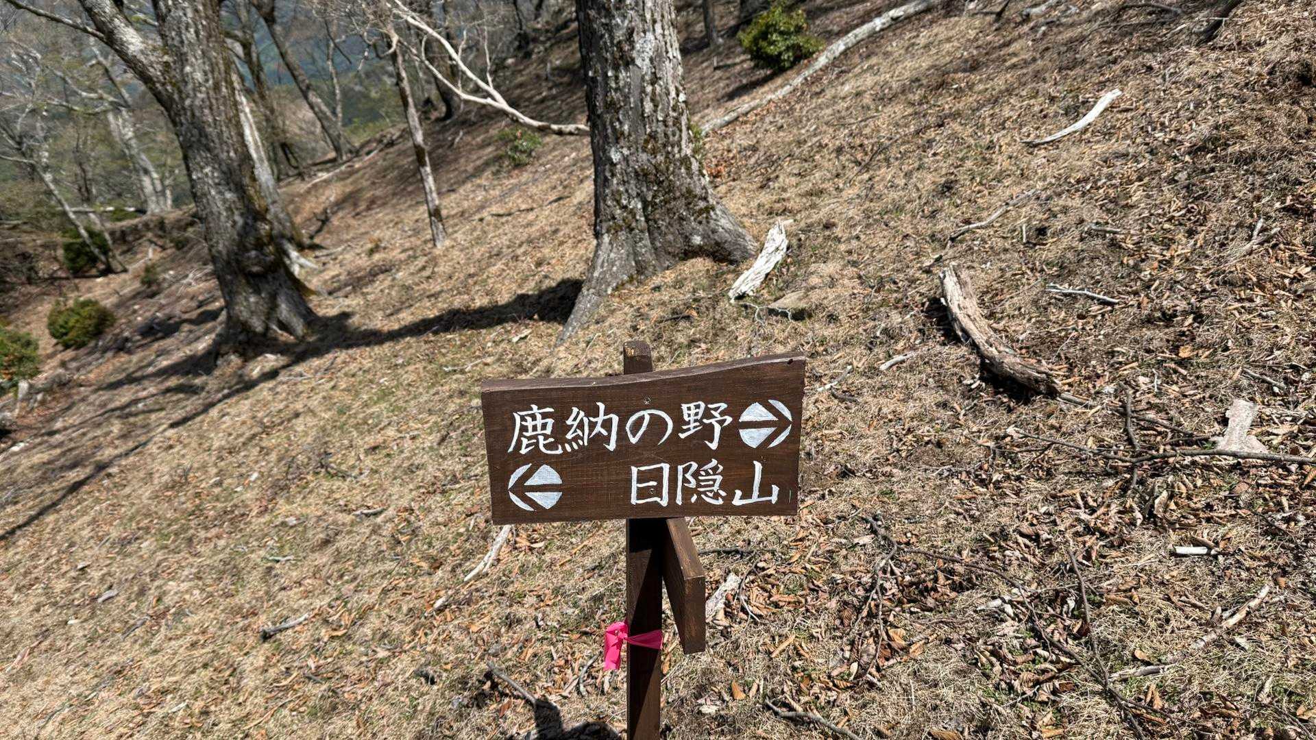 日陰も行ってないな