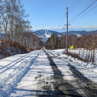 駐車場まで長いのが嫌なので、そそくさと小走りで💨