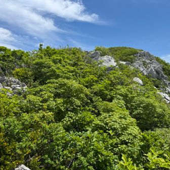 ここの登りで破いてしまった(´；ω；`)ｳｩｩ