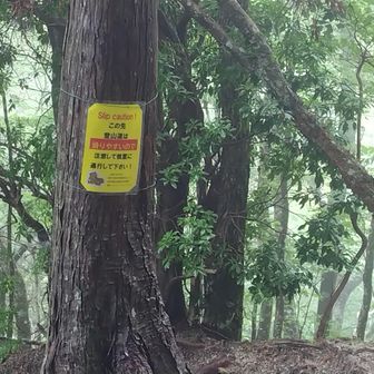 登山道が滑りやすいというか、木製の階段や梯子、橋が滑りやすいような、、、