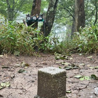 ひっそりと三角点