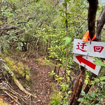 山頂から70mの鎖場に向かう途中にある迂回路､猿岩は危ないのでここから下山！でもこの先､ロープのある岩場が急で滑りまくり　写真撮ってなかった🤣