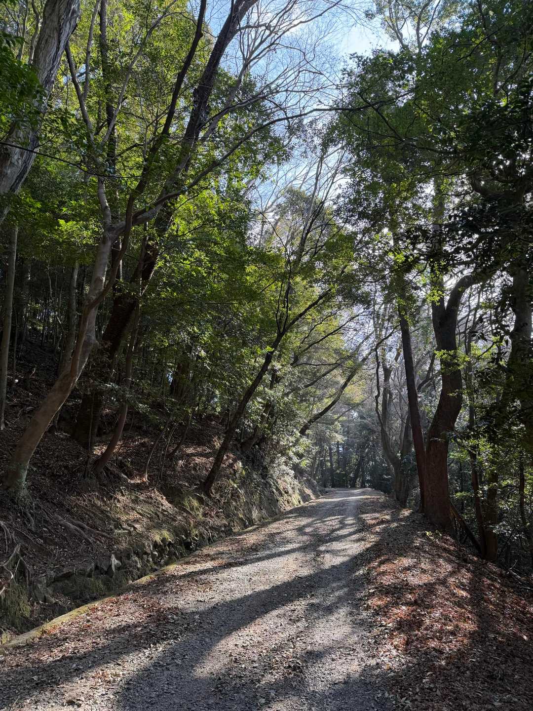 春日山遊歩道