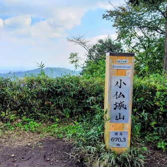 小仏城山を下りきった辺りで、あるハイカーさんから
「どっちに行ったらいいんですか？」とツッコミ処の多い質問あり

聞く人を間違えたんじゃないかな、と苦笑気味に
精一杯 返答しました