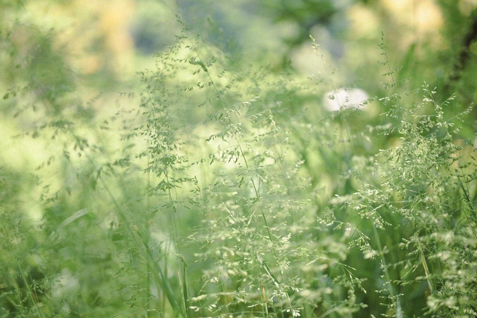 せっかくならば遠くへ