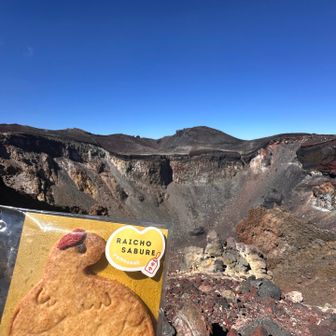 相方さんとシルバーウィークに長野県の山旅の時に
行った
長野県穂高駅前に出店している
山女子YouTuber やまくっくやぎちゃんのお店
キナコハットで
相方さんが購入したサブレをいただいたのを
(やぎちゃん本人も出勤してた)
割れないように慎重に持って来ました

雷鳥サブレ、袋が気圧で少し膨らんでる(^^)
