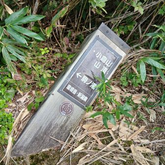 小倉山まで戻ってきた