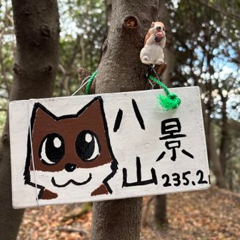 八景山に出会えました♡
前は、横を通って愛宕山に行ったんです。
