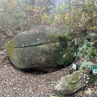 なるほど。ハンバーガー🍔みたいやね😆