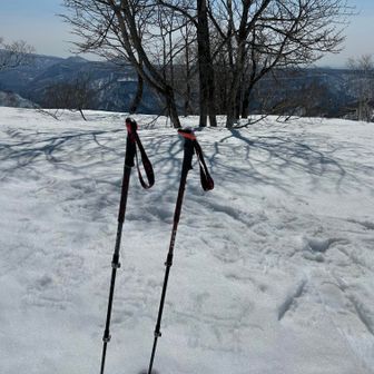 丹鳴尾山山頂到着
標高742m
標識なし