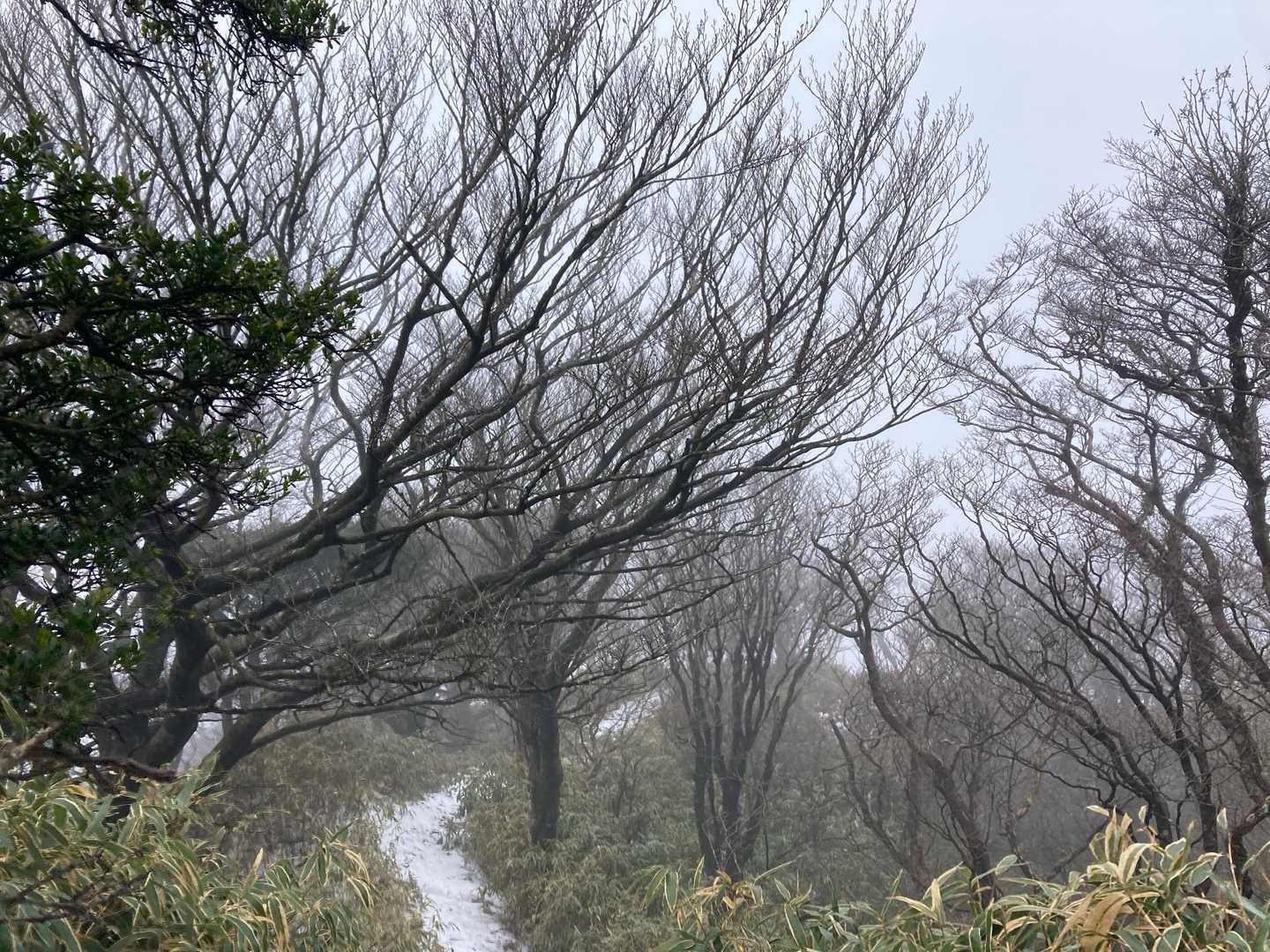 ガスってきちゃったよー😢