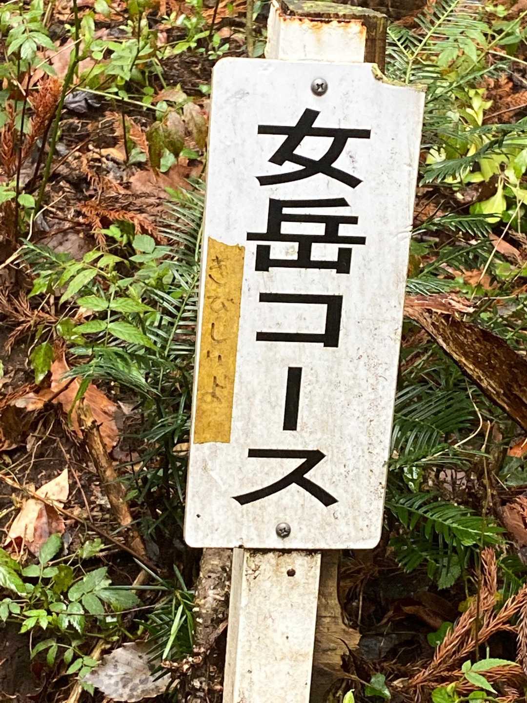 いかないよ😝