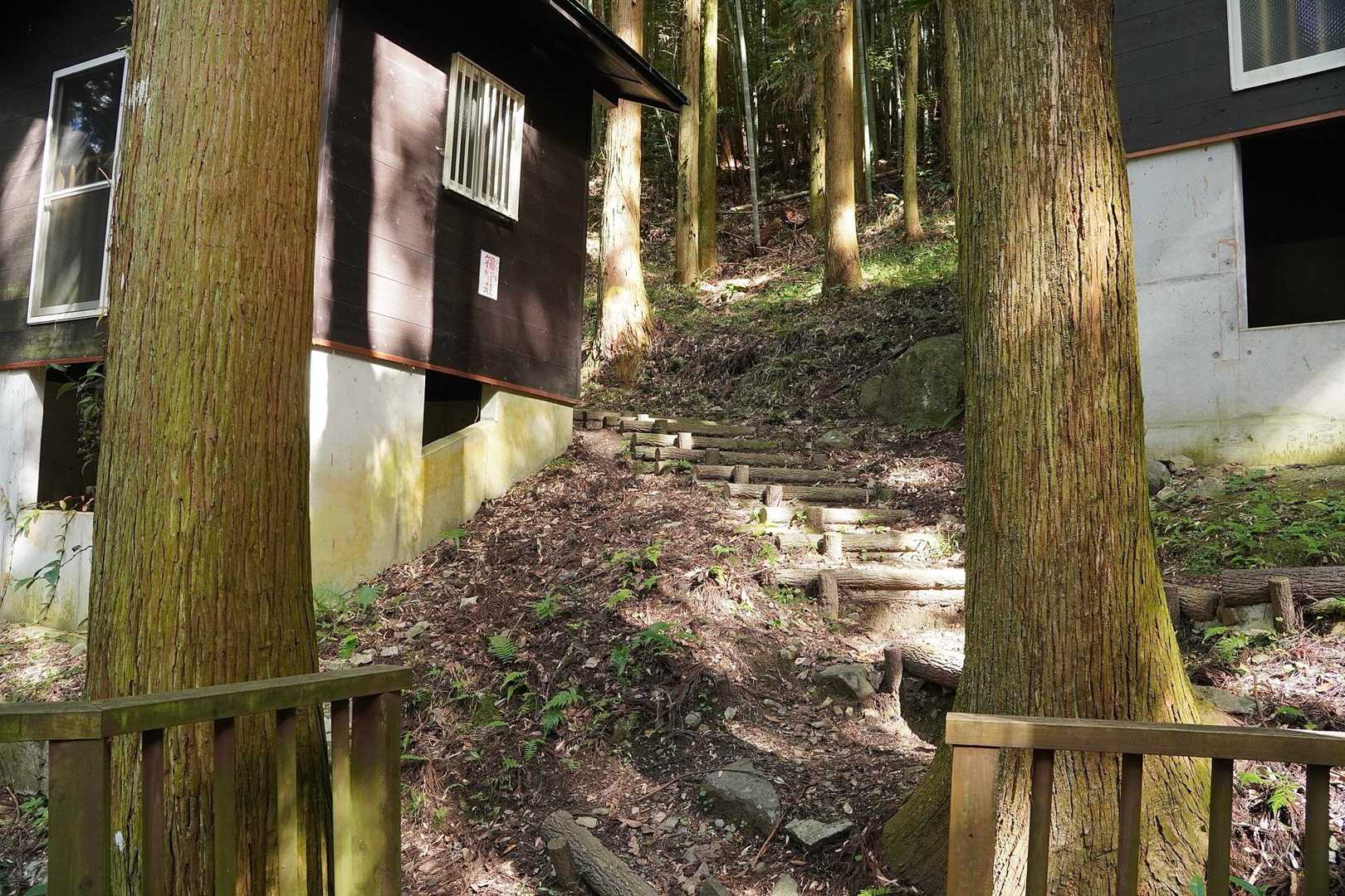 登山道は木道を少し歩いてコテージの間から