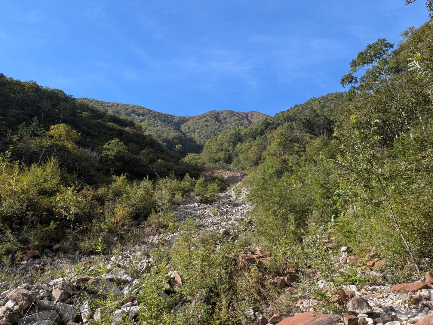 十勝幌尻岳登山口-十勝幌尻岳 往復コースの写真