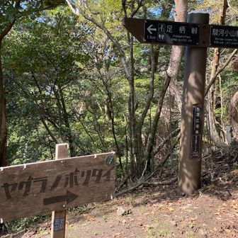ヤグラノボリタイ？…矢倉登りたいか！