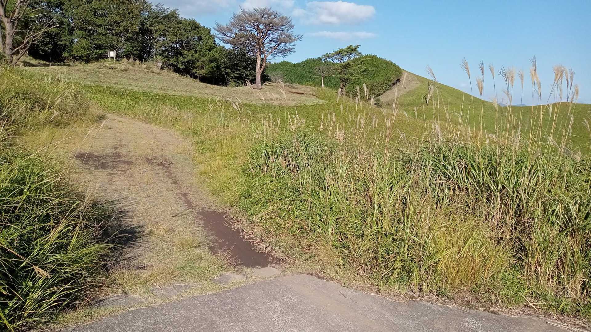 んでここが高城山の登山口！
地蔵峠側からは歩いてだとアクセス可能。ずっと舗装路でしたが左右には草木が生い茂ってました。

今後紹介しますが、ここから舗装路を下るのは車でも問題なかったですよ。ホテル夢しずくに出ます。ずっと舗装路です。