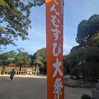 輝くオレンジ🍊