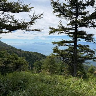 この風景の中に富士山が見えた人、手を挙げて