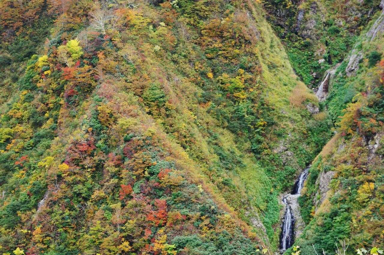 滝の白い流れと紅葉の鮮やかさが絶妙にマッチして、癒される