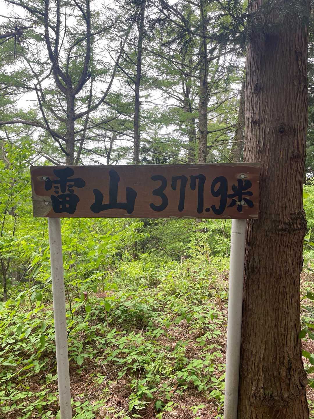 3779m 板が少し傷んできてる😔