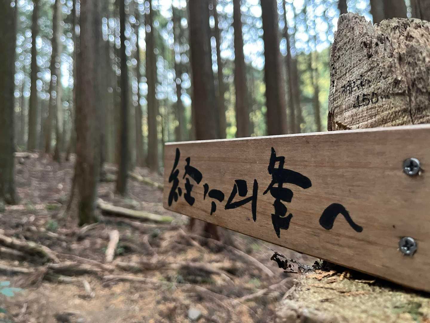 2025年の登り初めは経ヶ峰⛰️

パノラマコースで行ってみよ〜(๑•̀ㅂ•́)و✧