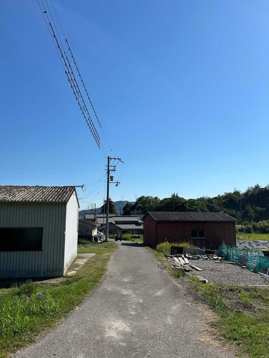 のどかな田園風景にホッとします☺️