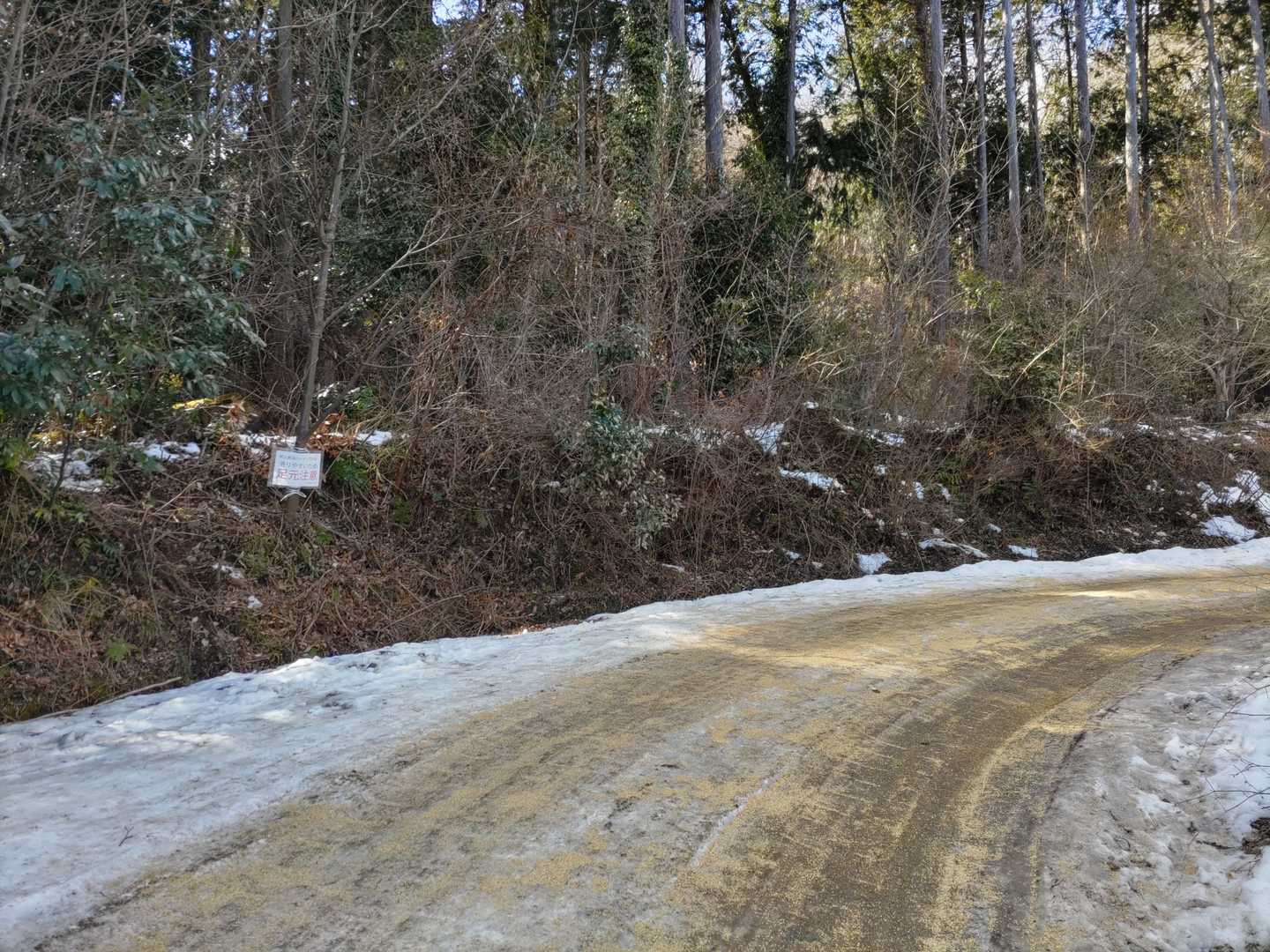 たまに雪❄️